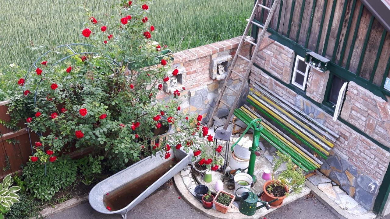 Gaestezimmer Victoria Linsberg Kültér fotó
